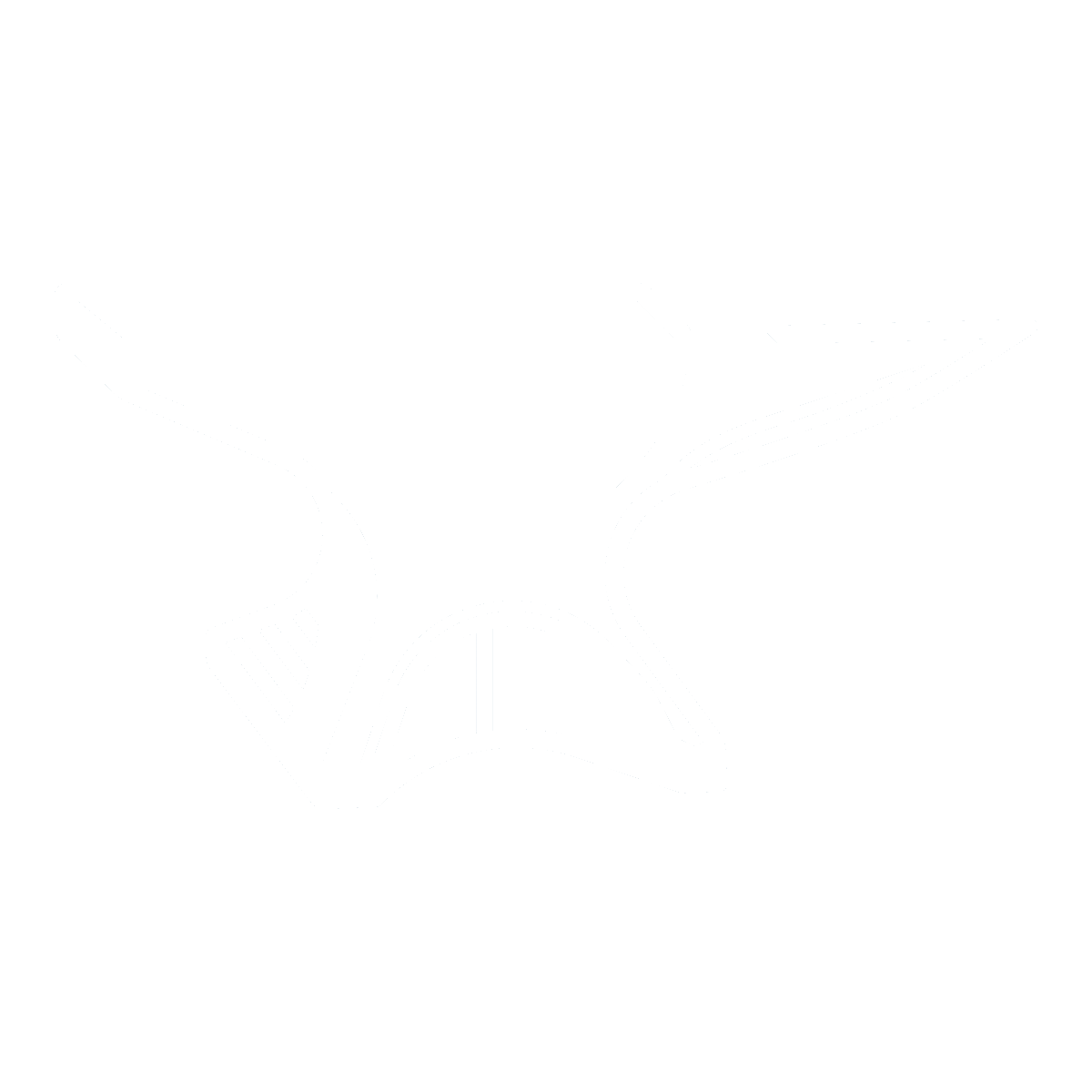 Forge Engineering